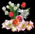/album/kepgaleria-fenykepgaleria1/a62689-364069560373842-286050332-n-jpg/